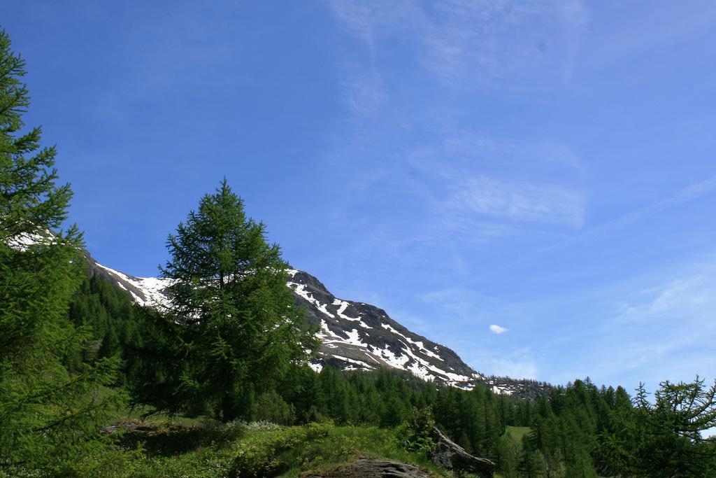 Maison Des Myrtilles Hotel Valgrisenche Kültér fotó