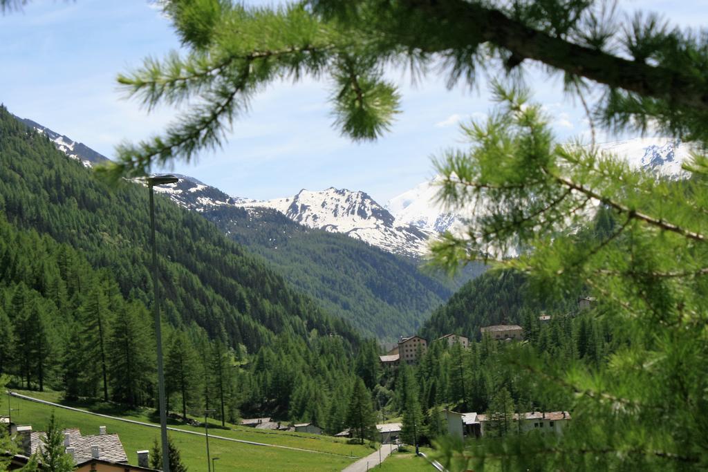 Maison Des Myrtilles Hotel Valgrisenche Kültér fotó