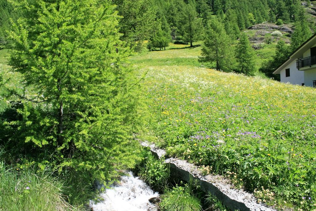 Maison Des Myrtilles Hotel Valgrisenche Kültér fotó