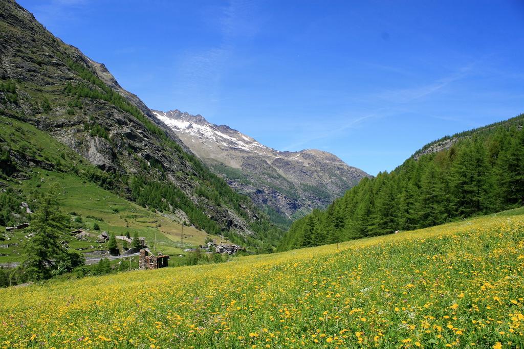 Maison Des Myrtilles Hotel Valgrisenche Kültér fotó